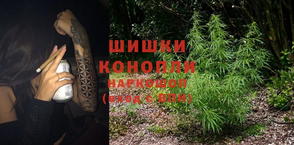 PSILOCYBIN Лабытнанги