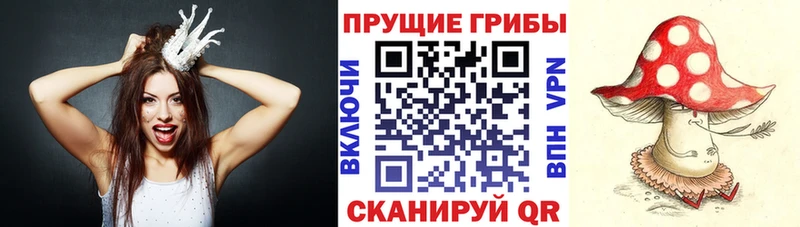 Псилоцибиновые грибы Psilocybe  что такое наркотик  это как зайти  Луза 